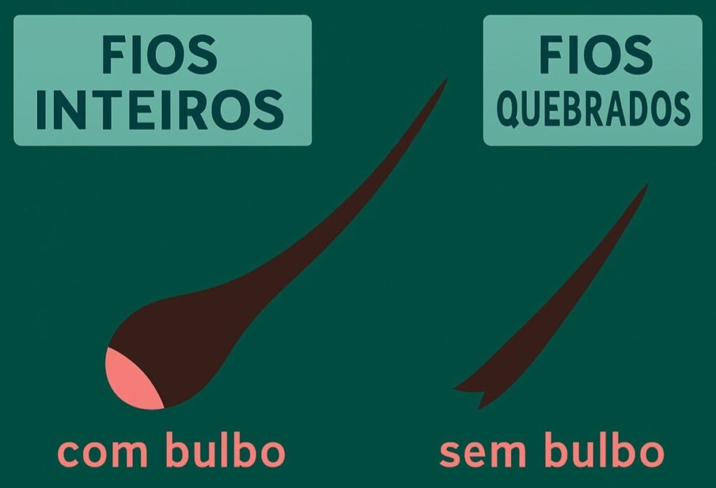O fio inteiro tem o bulbo e o fio quebrado não tem. Essa diferenciação é importante para diferenciar cortes químicos.