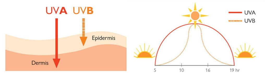 UVA penetra profundamente na pele e incide sobre a terra o dia todo; UVB penetra mais superficialmente, e tem maior incidência entre 10 e 16h.